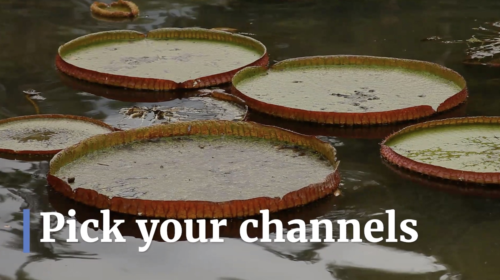 pick your channels when planning content marketing strategy